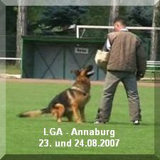 LGA Annaburg 2007 - Gerry von der Waldesruh - Schutzdienst